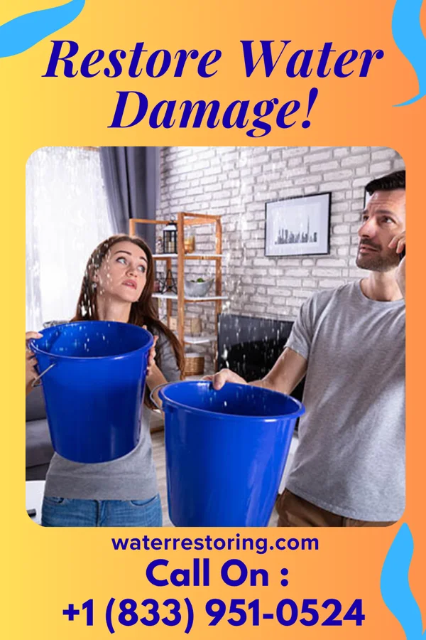 water restoration Modern Sewage Cleanup Services Abbeville