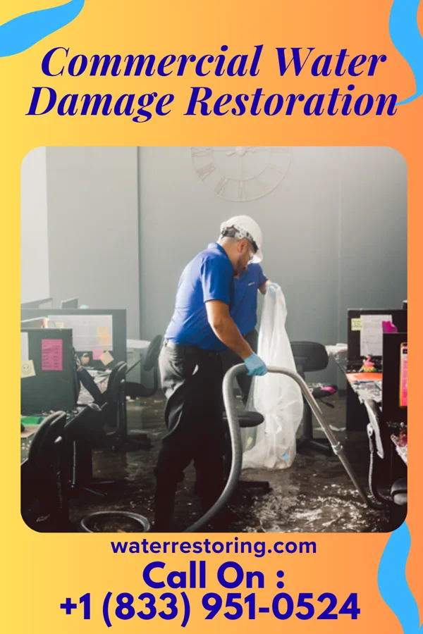 Commercial Water Damage Restoration in Abbeville, SC