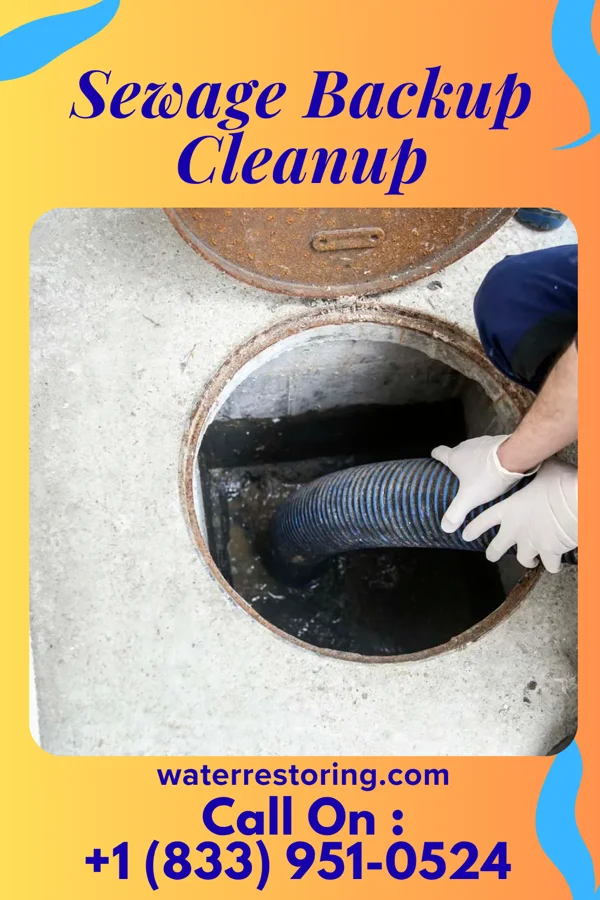 Sewage Backup Cleanup in Abbeville, SC
